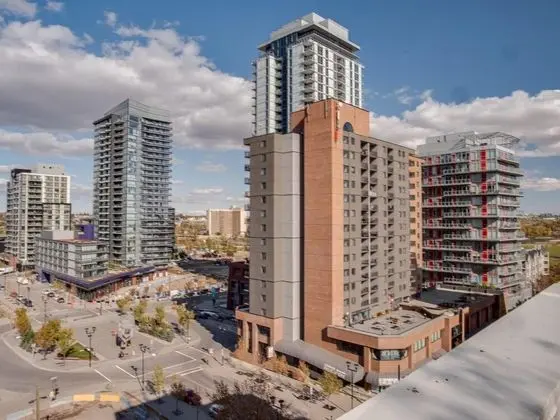 Penthouse Loft w Prking Rooftop Patio BBQ Coffee