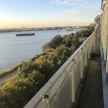 The Penthouse