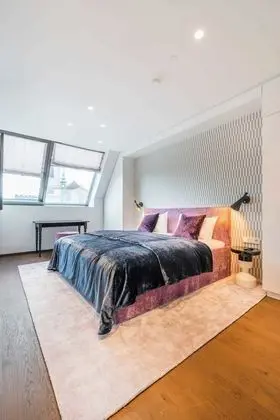 Penthouse near Town Hall Vienna - Oda