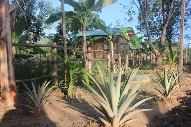 Pepper Farm Phu Quoc Bungalow