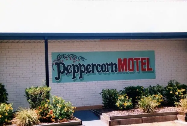 Peppercorn Motel - Lobi