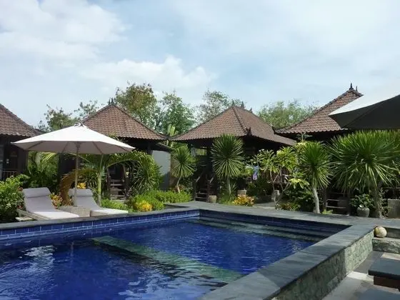 Perdana Lembongan - Havuz