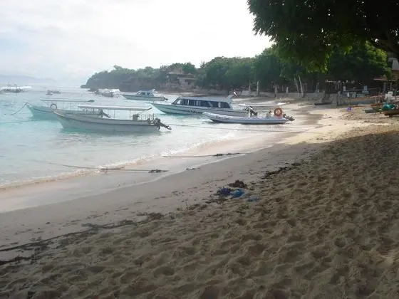 Perdana Lembongan - Plaj