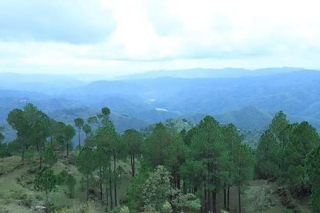 Periyar Herbal Resort