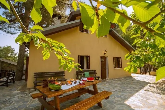 Persephone Cottage - Enhance Your Senses