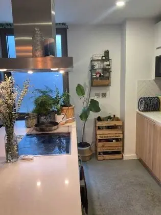 Pet Friendly 1 Bedroom Apartment in London Fields - Mutfak