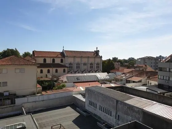 Pet Friendly Apartment