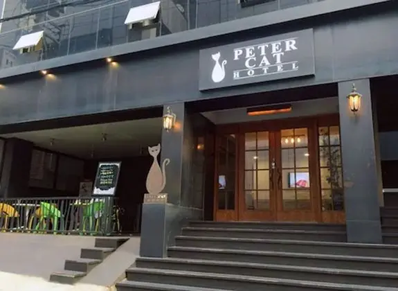 PETERCAT HOTEL SINCHON HONGDAE