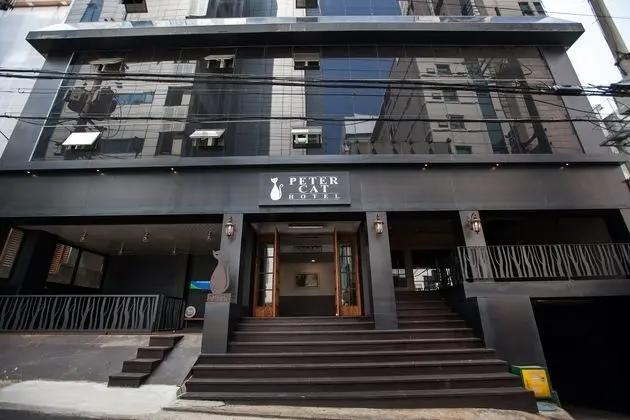 PETERCAT HOTEL SINCHON HONGDAE