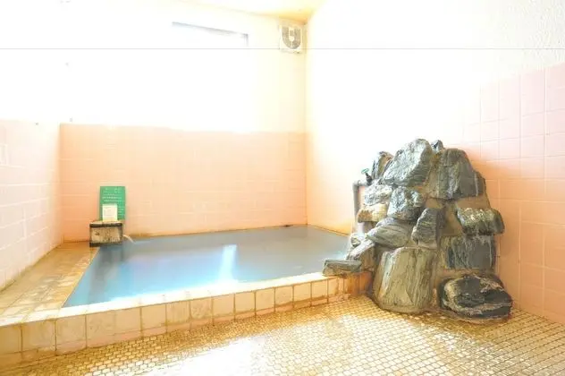 Petit Hotel Paddington House - Havuz