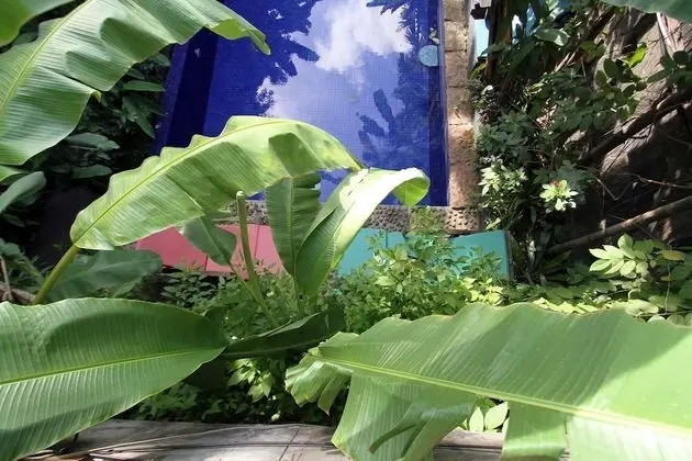 Petit Temple Suite & Spa - Havuz