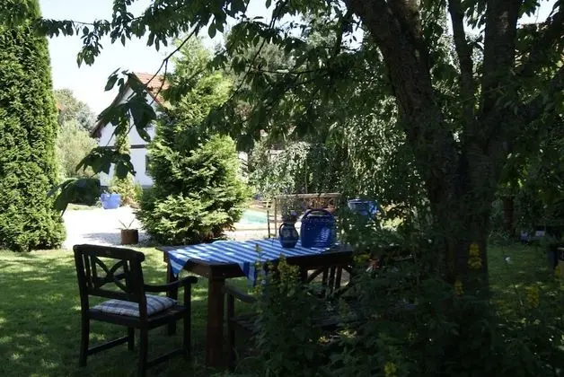Petit Triotel - In Leukersdorf - Havuz