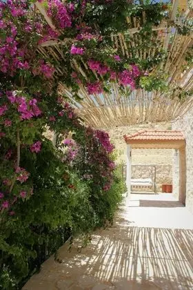 Petra Bed & Breakfast - Dış Mekan