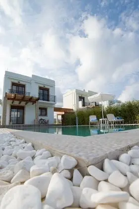 Petra Villas - Havuz