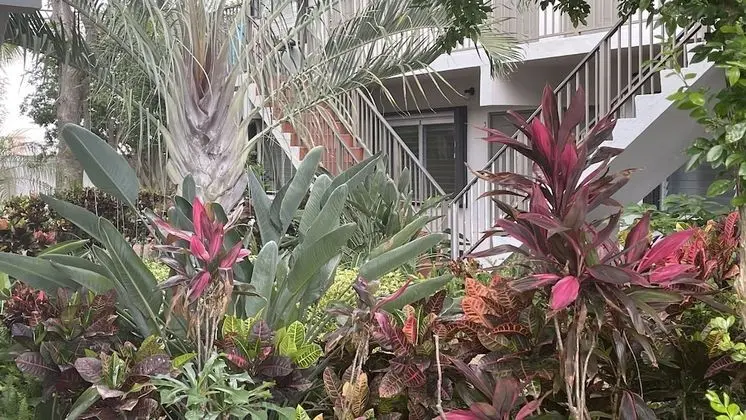 Petrina Studio Apartment - Dış Mekan
