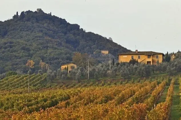 Petrolo