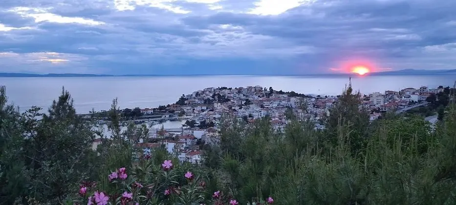 Hotel Petunia - Dış Mekan