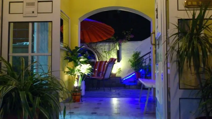 Hotel Petunia - İç Mekan