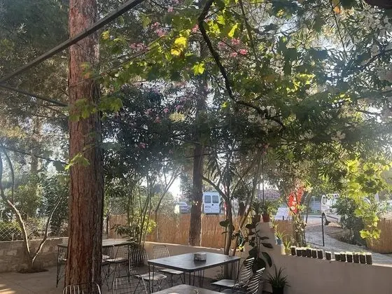 Petunya Pansiyon - Dış Mekan
