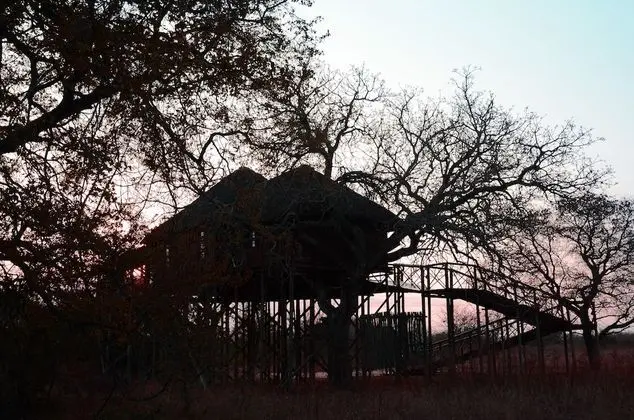 Pezulu Tree House Lodge - Dış Mekan