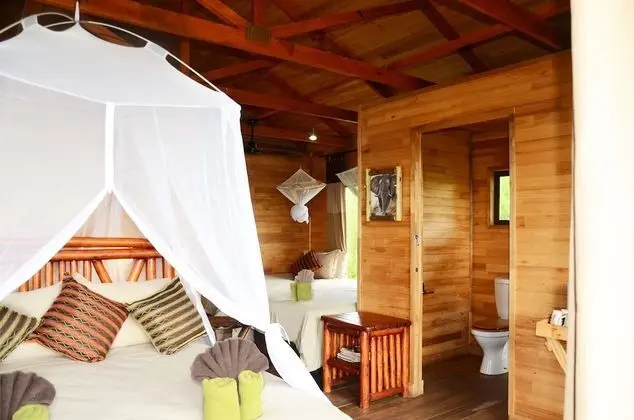 Pezulu Tree House Lodge - Oda