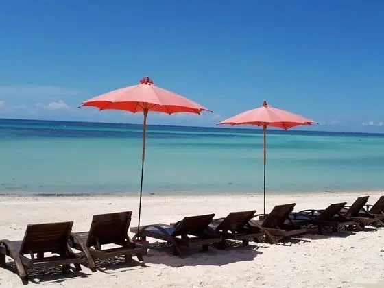 Phangan Cove Beach Resort - Plaj