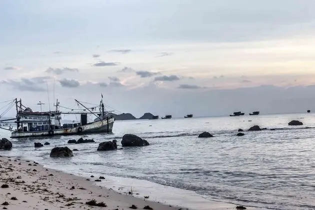 Phangan Cove - Plaj