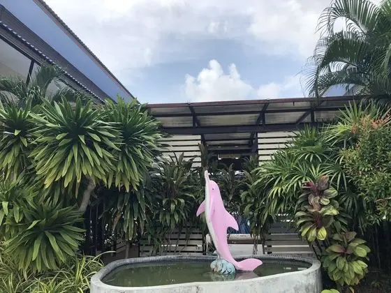 Phangan Island View Hotel - Dış Mekan