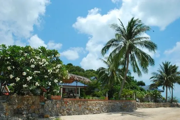 Phangan Orchid Resort - Plaj