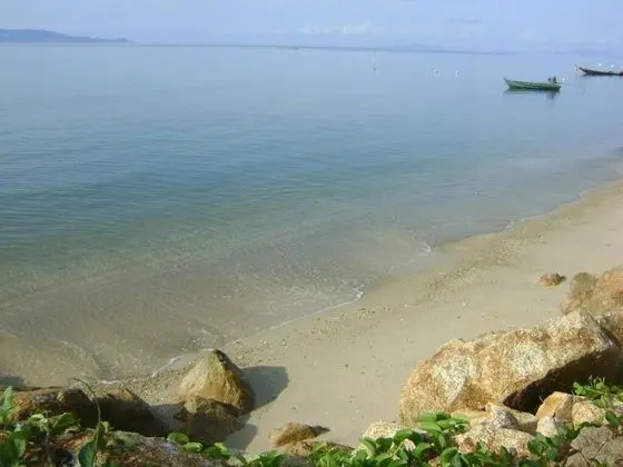 Phangan Palm Beach Resort - Plaj
