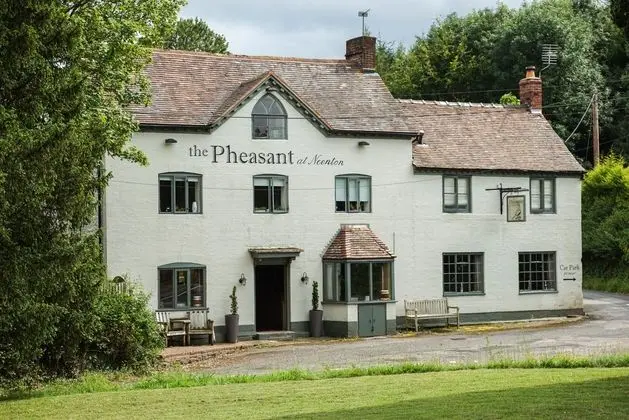 The Pheasant at Neenton - Öne Çıkan Resim