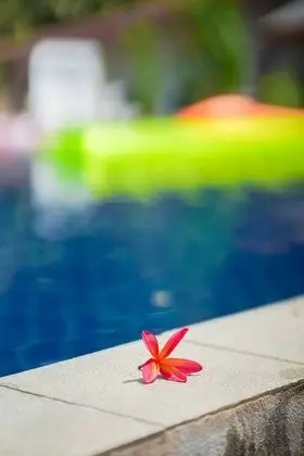 Phi Phi Cozy Seafront Resort - Lobi