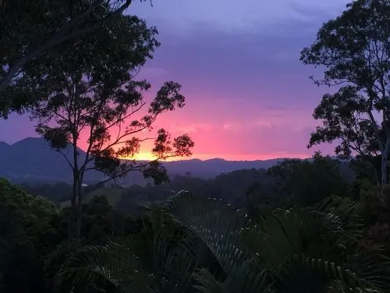 Phoenix Eumundi Bed & Breakfast - Dış Mekan