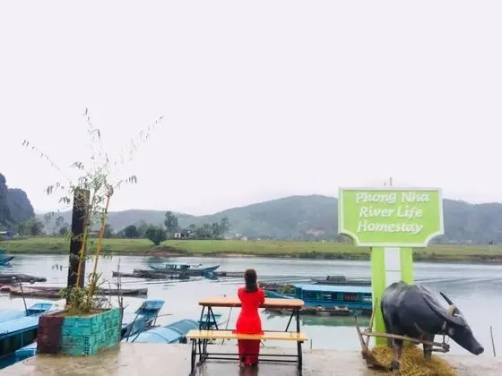 Phong Nha Riverlife Homestay - Hostel - Havuz