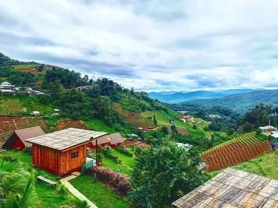 Phu Fa Sai Homestay