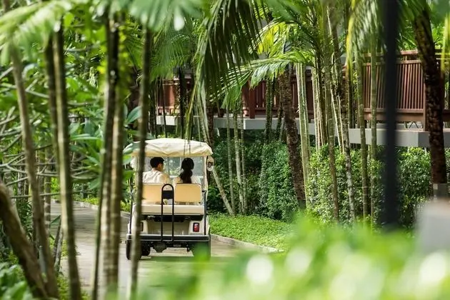 Phuket Marriott Resort and Spa, Nai Yang Beach - Dış Mekan