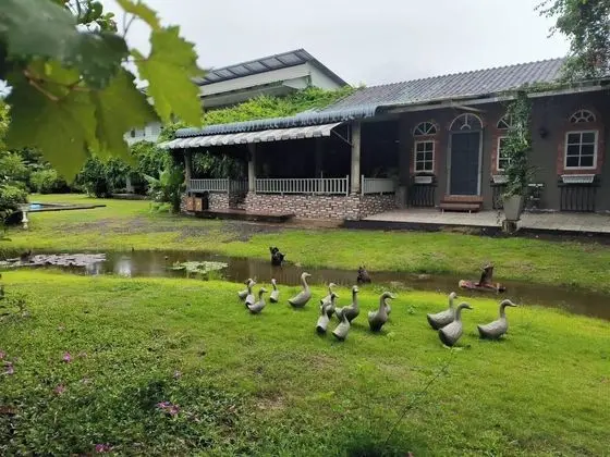 Phuket Nonnita Boutique Resort - Dış Mekan