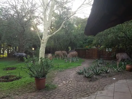 PHUMULA KRUGER LODGE AND SAFARIS