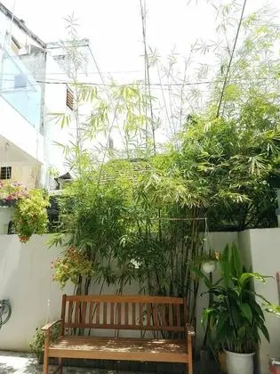 Phuong Anh Hoi An Homestay - Dış Mekan