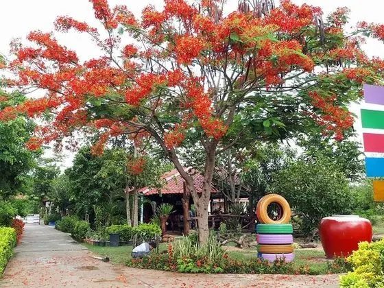 Phutawan Resort Nong Bua Lam Phu - Dış Mekan