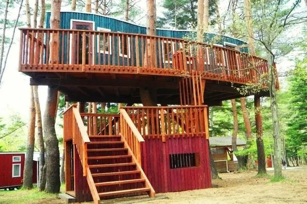 PICA FUJIYOSHIDA - Campsite - Aile ve Çocuklar