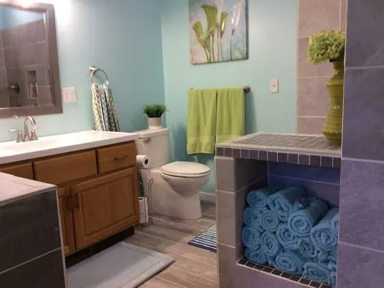 Pictured Rocks B&B - Banyo Tipleri