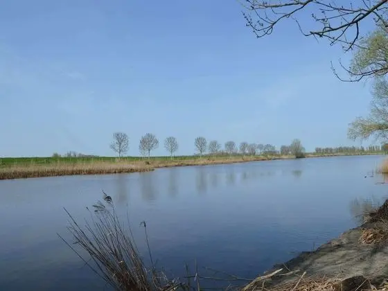 Picturesque Holiday Home in Drimmelen With Garden - Dış Mekan