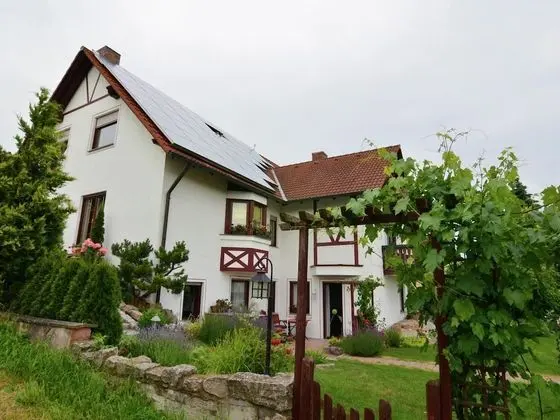 Picturesque Mansion With Balcony, Grill, Garden and Heating