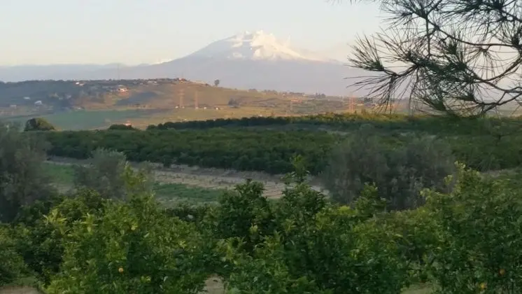 Pietre di gelo dei F.lli Valenziani