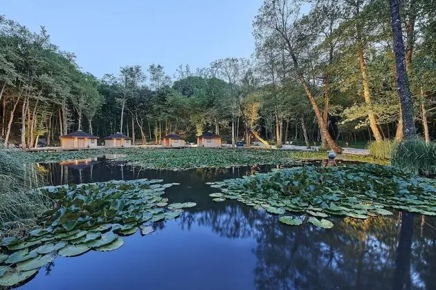 Pikol Lake Village Premium Glamping - Dış Mekan