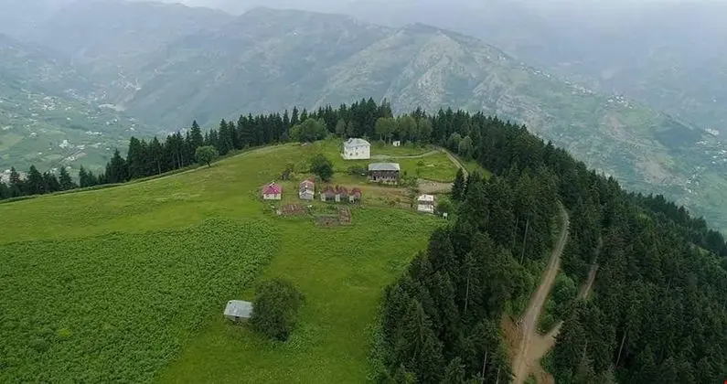 Pilav Dagi Yavuzyilmaz Tesisleri (Yates) - Genel