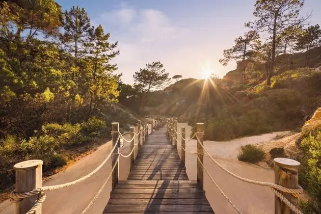 Pine Cliffs Gardens - Dış Mekan