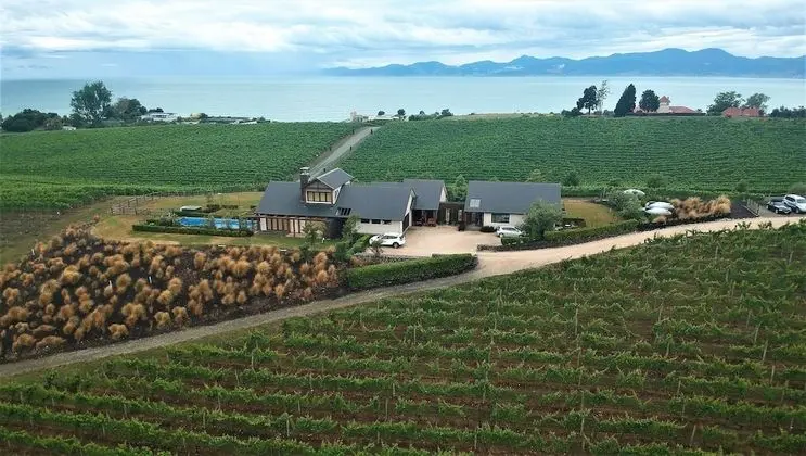 Pine Hill Lodge - 1