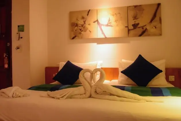 Pine Lodge Maldives - Genel